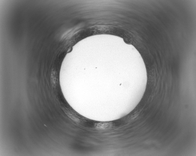 X0000051910135200507222118