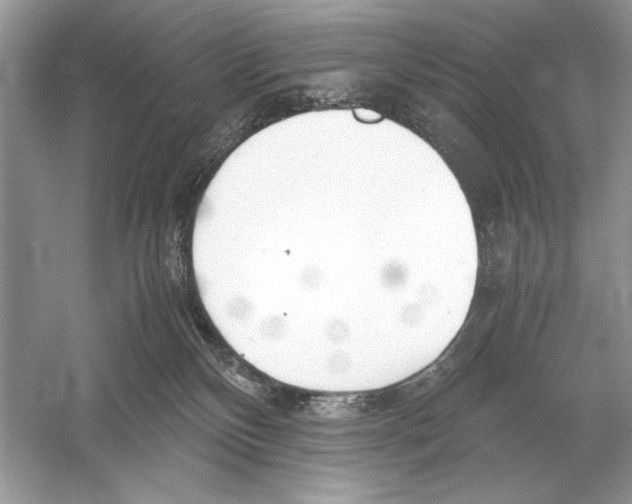 X0000051910136200507222118