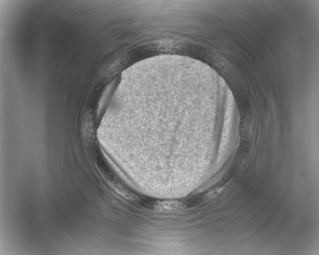 X0000051910137200507222118