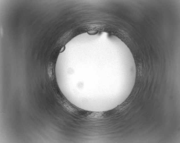 X0000051910138200507222118