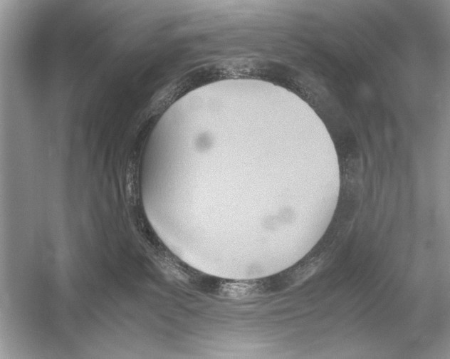 X0000051910139200507222118