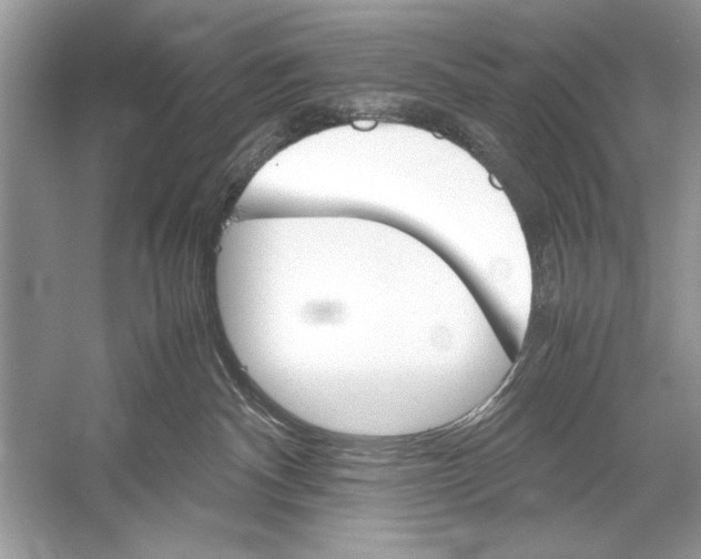 X0000051910140200507222118