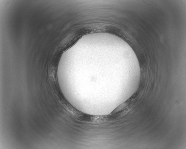 X0000051910141200507222118