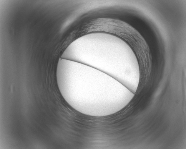 X0000051910143200507222118