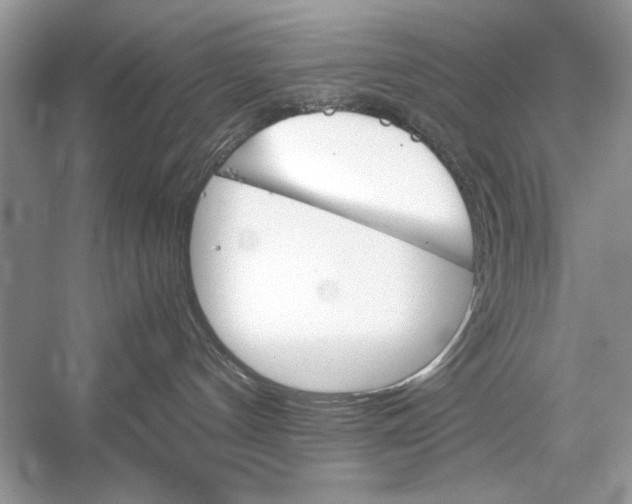 X0000051910144200507222118