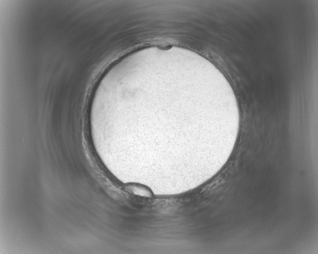 X0000051910145200507222117