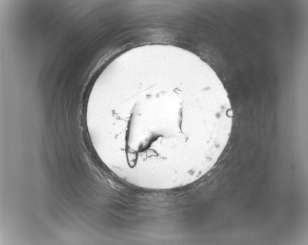 X0000051910146200507222117