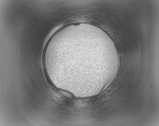 X0000051910147200507222117