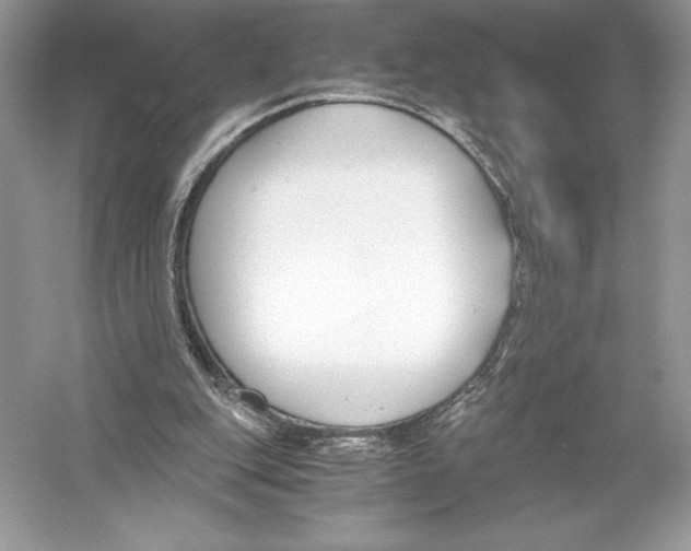 X0000051910151200507222117