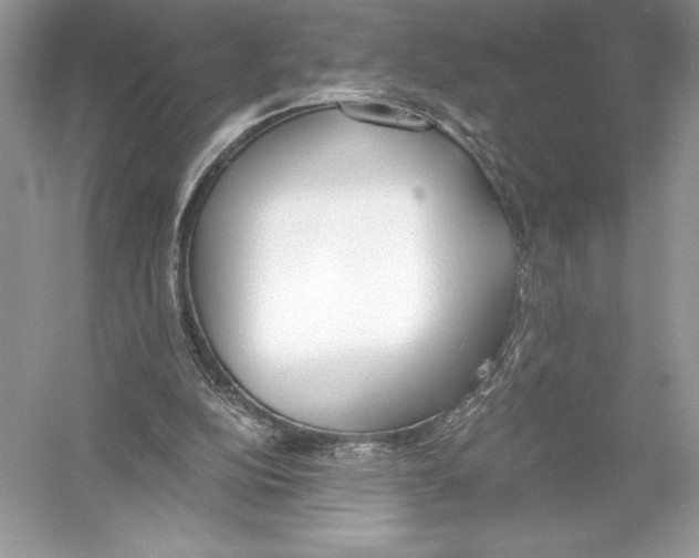 X0000051910152200507222117