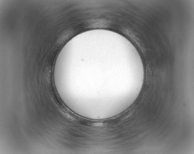 X0000051910153200507222117