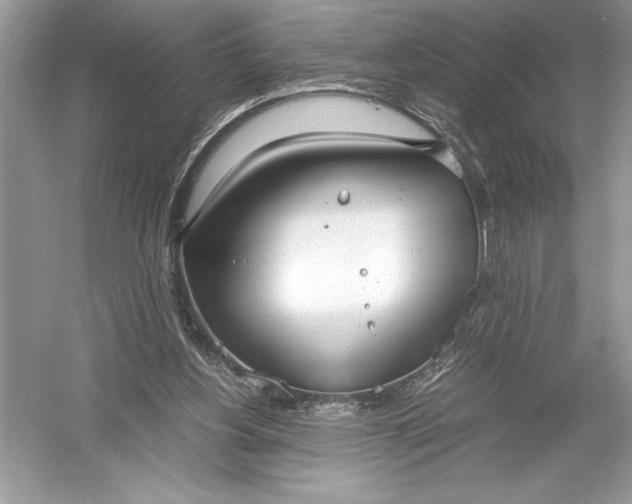 X0000051910156200507222117