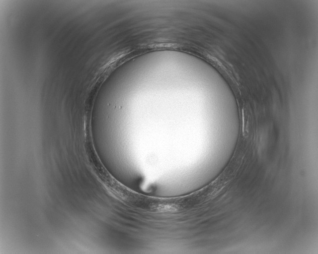 X0000051910157200507222117