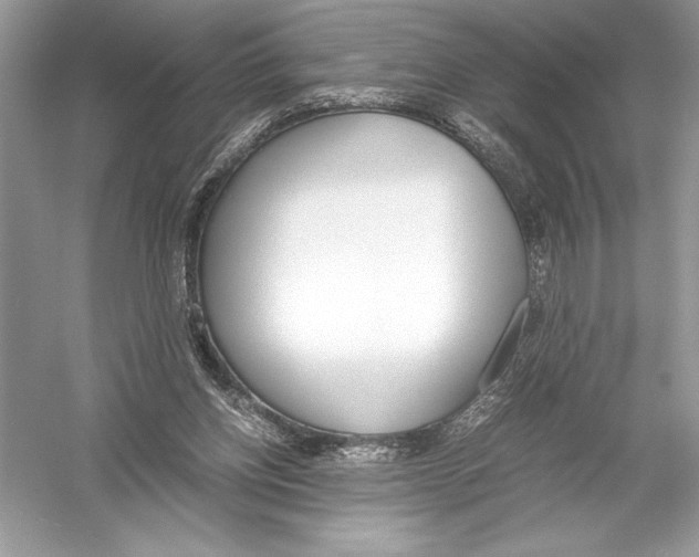 X0000051910158200507222117