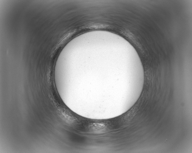 X0000051910159200507222117