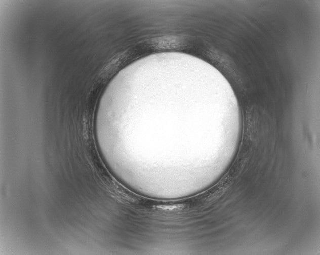 X0000051910161200507222117