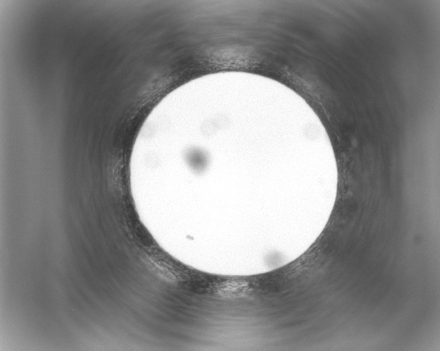 X0000051910162200507222117