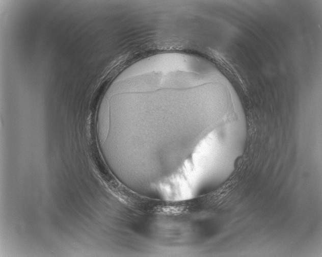 X0000051910163200507222117