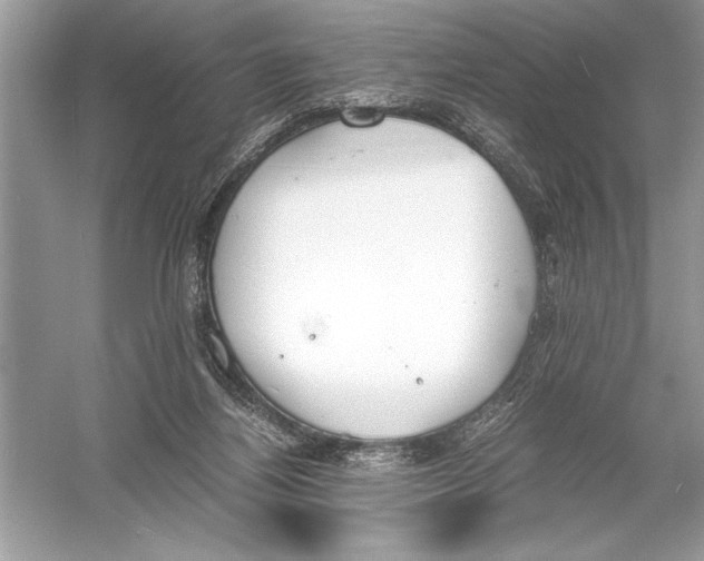 X0000051910164200507222117