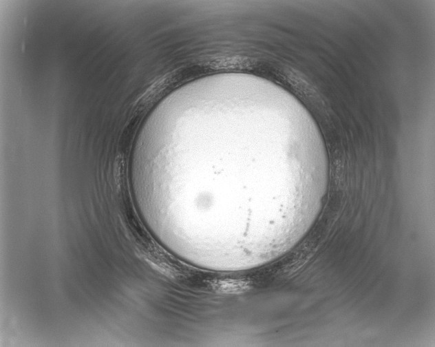 X0000051910165200507222117