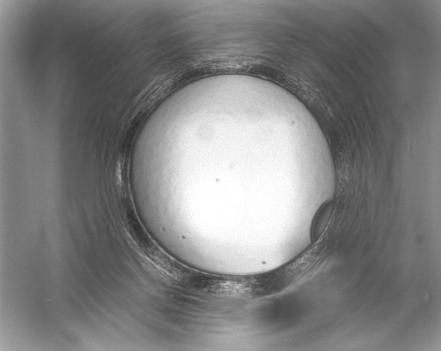 X0000051910166200507222117