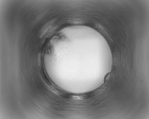 X0000051910167200507222117