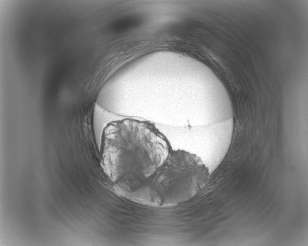 X0000051910169200507222117