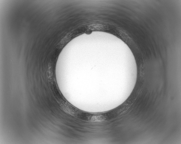 X0000051910173200507222117