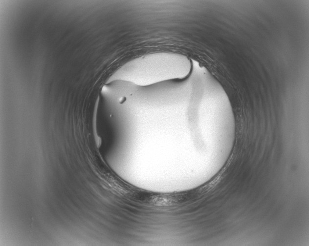 X0000051910174200507222118