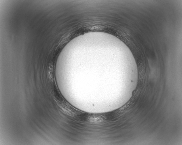 X0000051910175200507222118