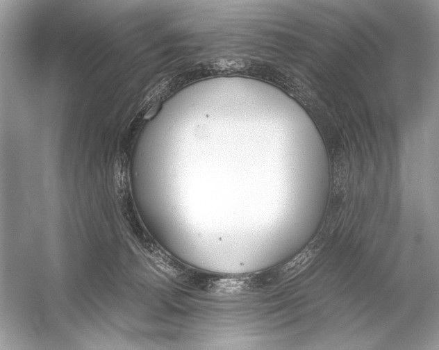 X0000051910176200507222118