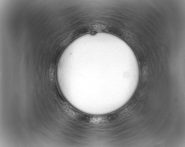 X0000051910177200507222118