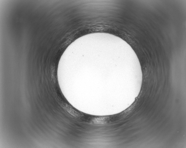 X0000051910178200507222118