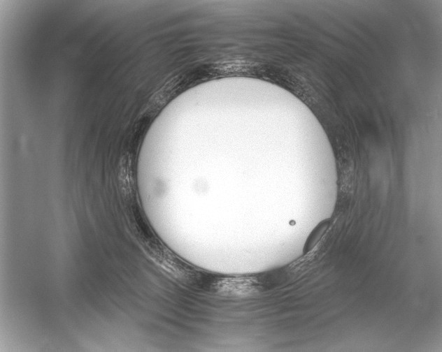 X0000051910179200507222118