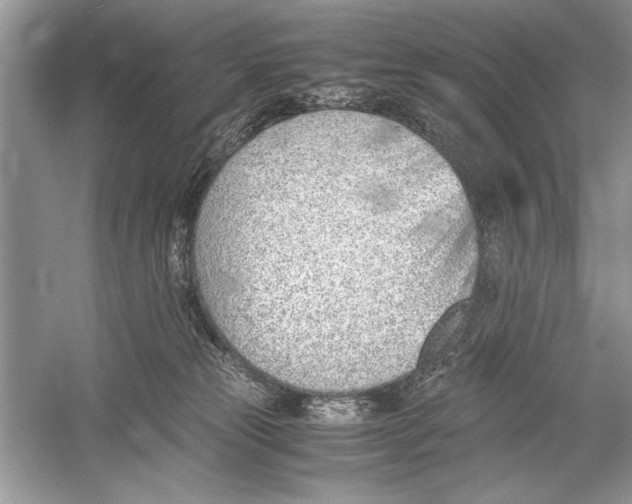 X0000051910181200507222118