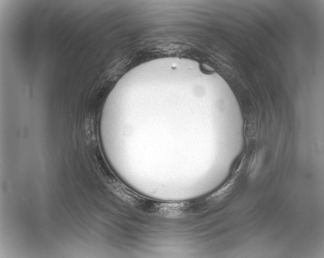 X0000051910182200507222118