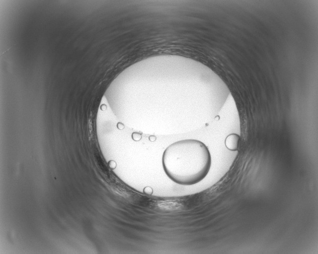 X0000051910183200507222118