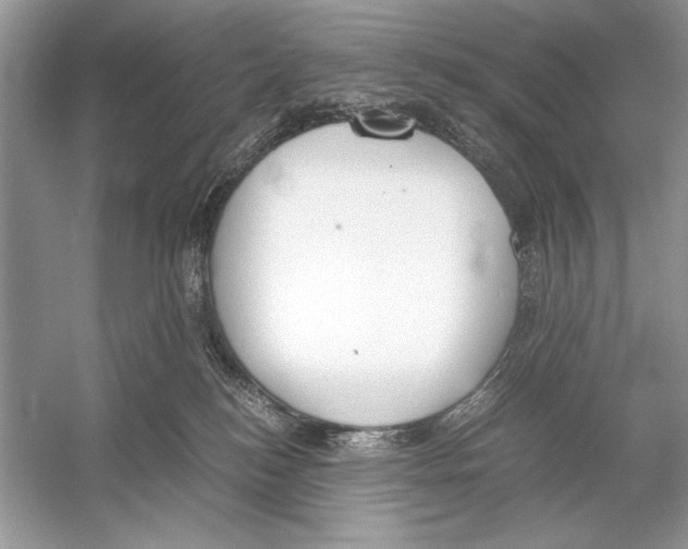 X0000051910184200507222118