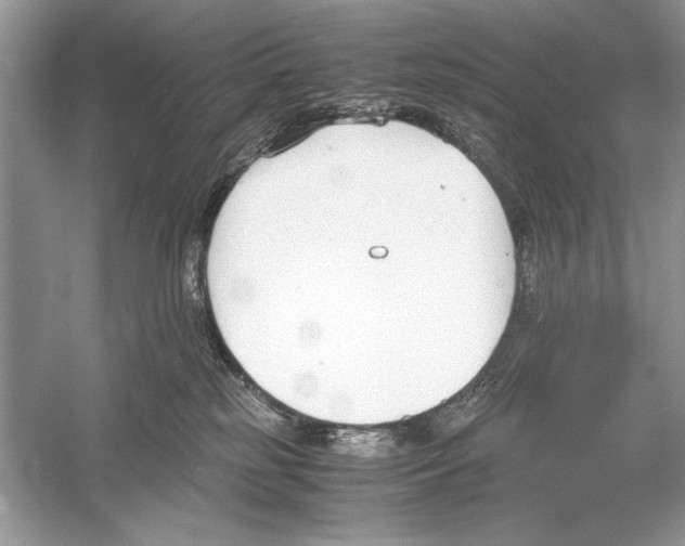 X0000051910185200507222118