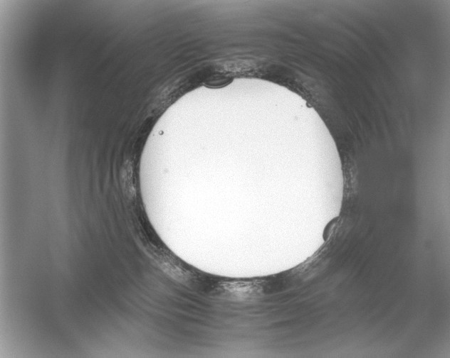 X0000051910187200507222118