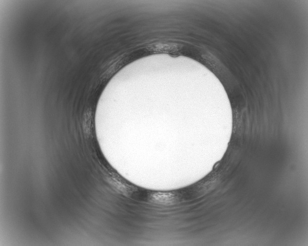 X0000051910189200507222118