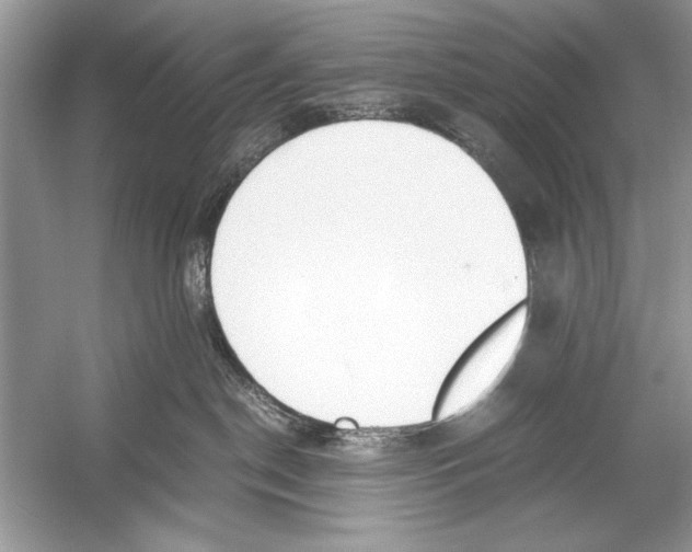 X0000051910190200507222118