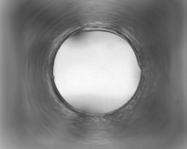 X0000051910193200507222117