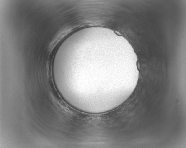 X0000051910194200507222117