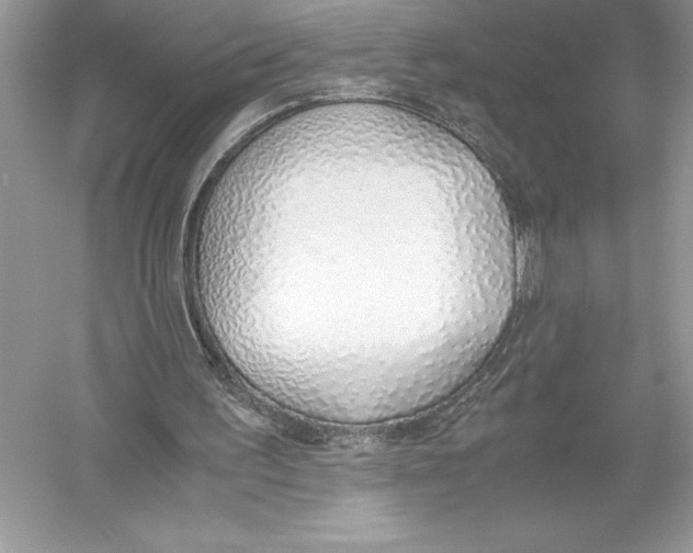 X0000051910195200507222117