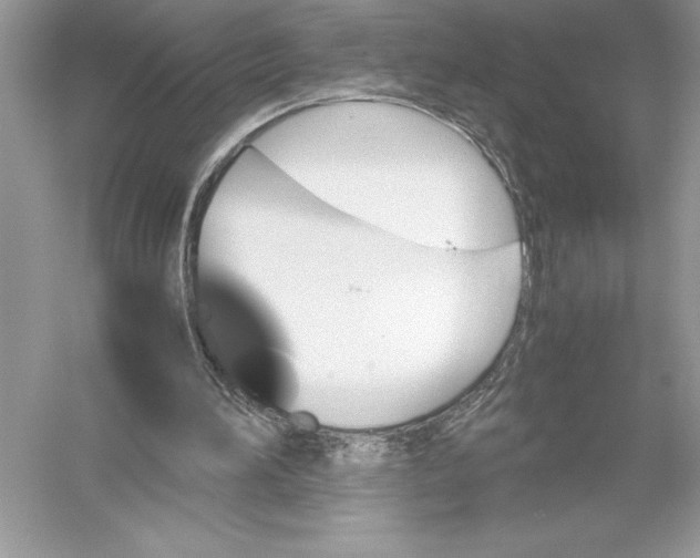 X0000051910196200507222117