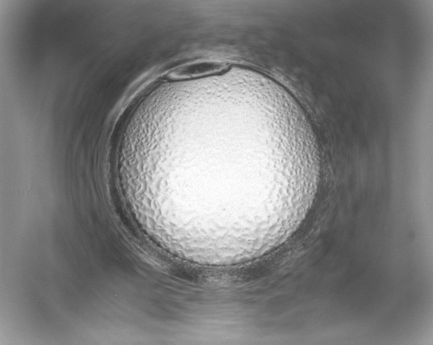 X0000051910199200507222117