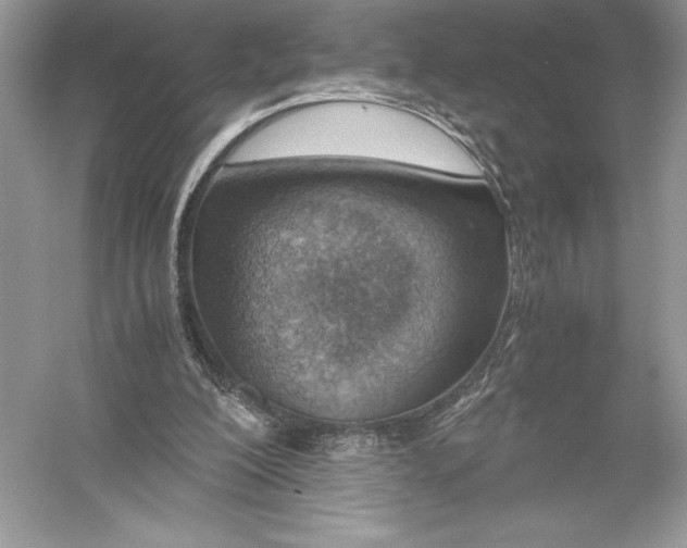 X0000051910200200507222117