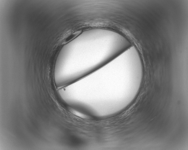 X0000051910201200507222117