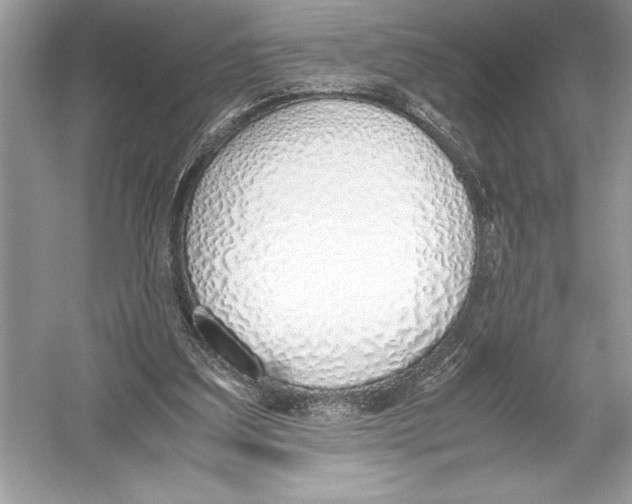 X0000051910203200507222117